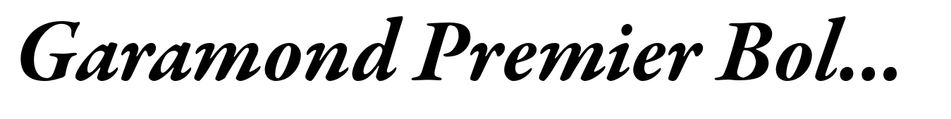 Garamond Premier Bold Italic